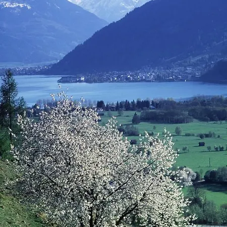 Apartment Waltl Zell am See